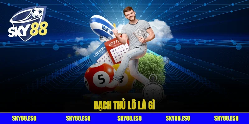 Bạch thủ lô là gì?