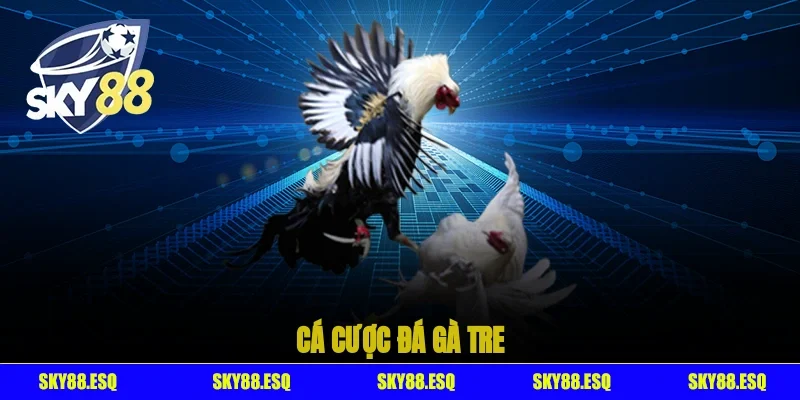 Cá cược đá gà tre