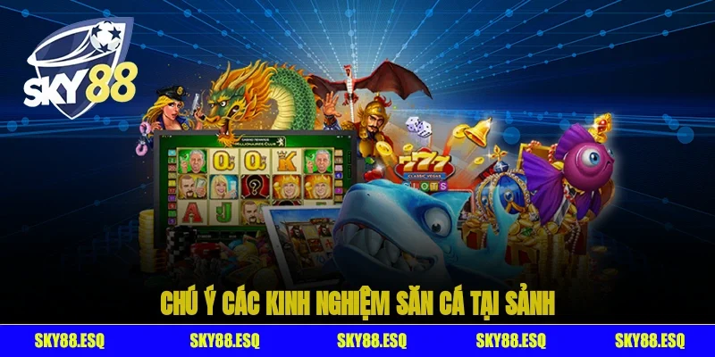 Chú ý các kinh nghiệm săn cá tại sảnh
