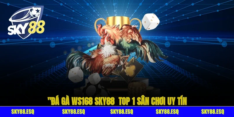 Đá gà WS168 SKY88 - Top 1 sân chơi uy tín
