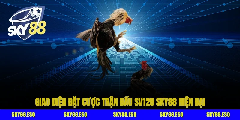 Giao diện đặt cược trận đấu SV128 SKY88 hiện đại