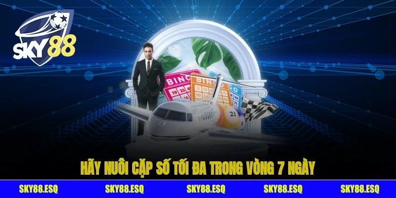 Hãy nuôi cặp số tối đa trong vòng 7 ngày