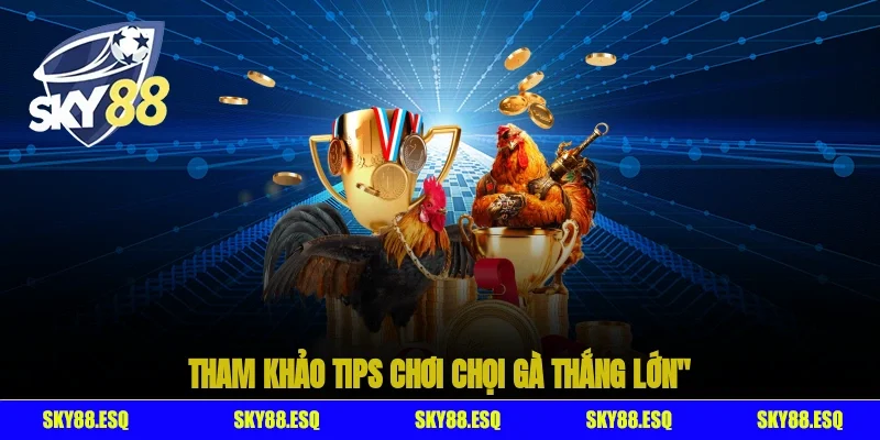 Tham khảo tips chơi chọi gà thắng lớn