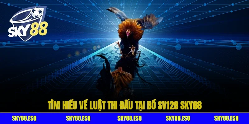 Tìm hiểu về luật thi đấu tại bồ SV128 SKY88