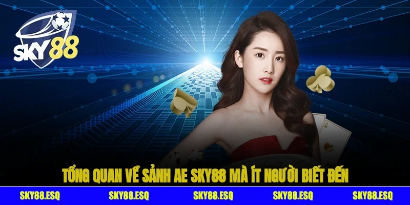 Tổng quan về sảnh AE SKY88 mà ít người biết đến