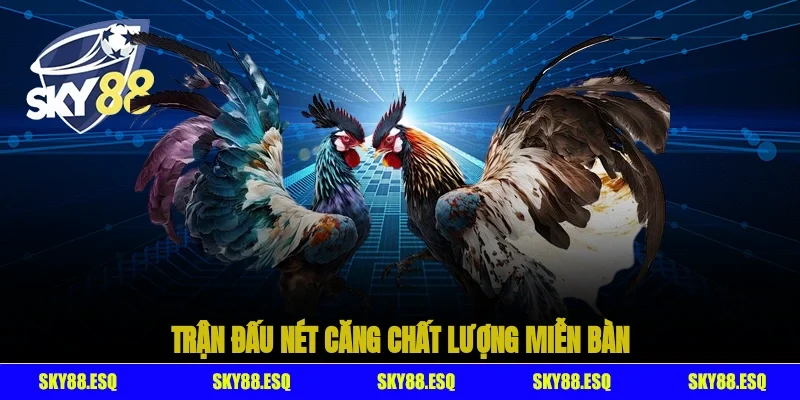 Trận đấu nét căng, chất lượng miễn bàn