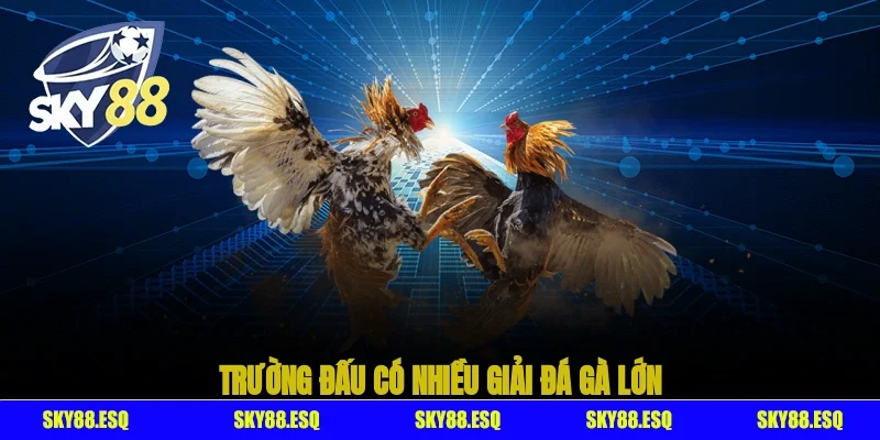 Trường đấu có nhiều giải đá gà lớn